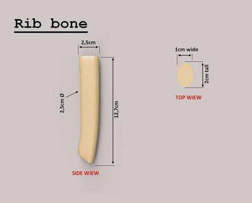 Diagram of a faux rib bone showing side and top views with dimensions for plant-based meat alternatives