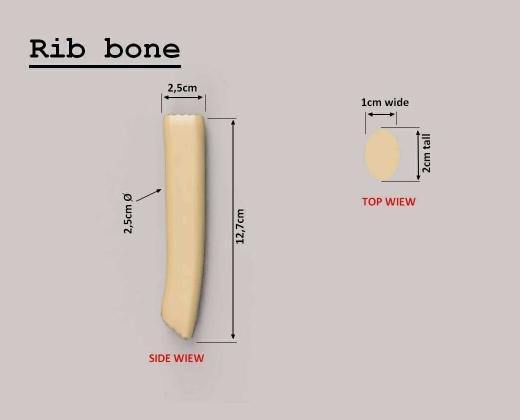 The Faux Rib Bones-Set – Faux Bones
